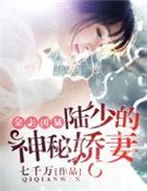 金主兇猛:陸少的神秘嬌妻