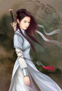 龙珠之我是贝吉塔