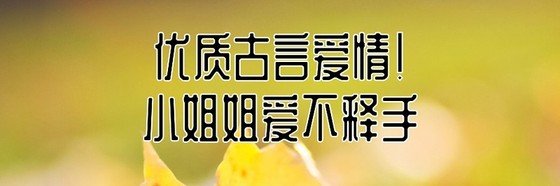 優質古言愛情！小姐姐愛不釋手
