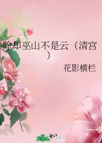 除卻巫山不是雲（清宮）
