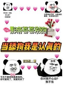 影帝哥哥別跑，當舔狗我是認真的